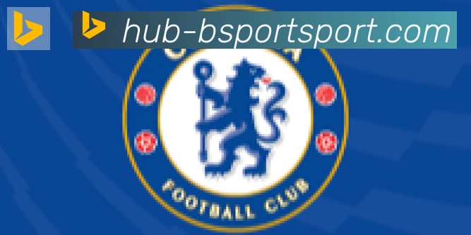 Bsports官网合作伙伴