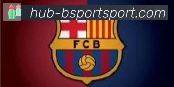 Bsports官网合作伙伴