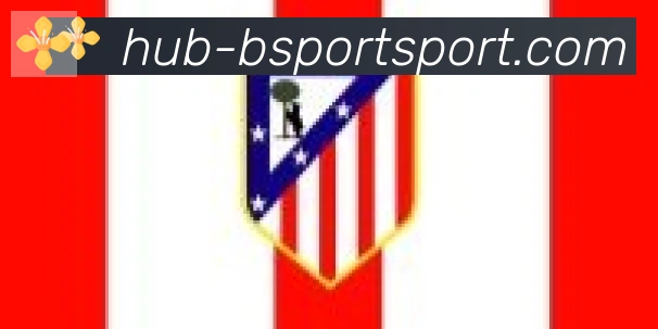 Bsports官网合作伙伴