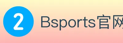 Bsports官网 Logo